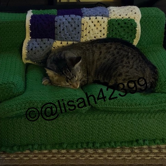 Meet your Posher, Lisa - Picture 8 of 11